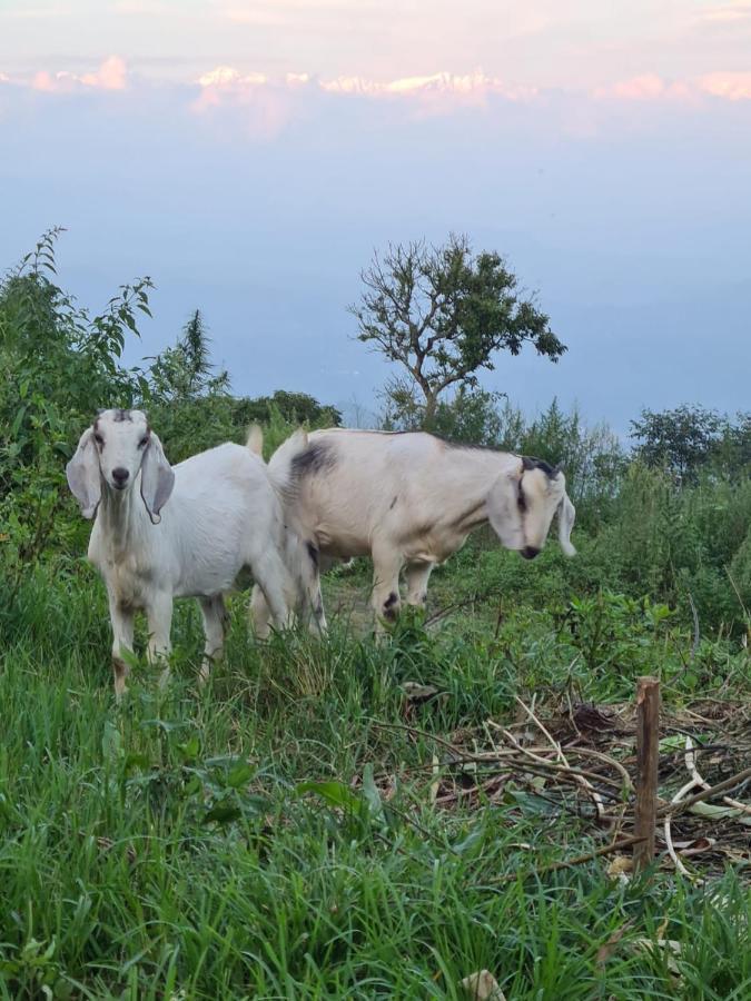 Nagarkot Trekkers Inn Exterior foto